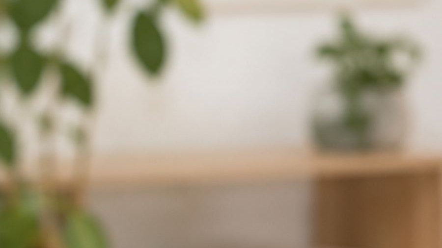 Plantes vertes dans une lumière douce, un temps d'attente au calme